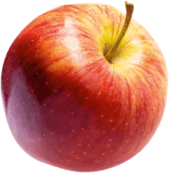 Fruit