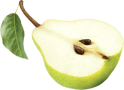 Fruit