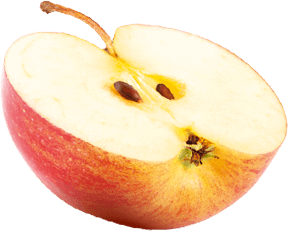 Fruit