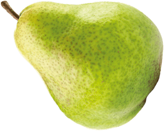 Fruit