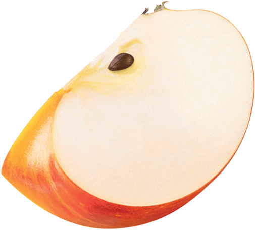 Fruit