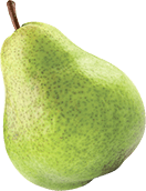 Fruit