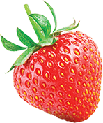 Fruit