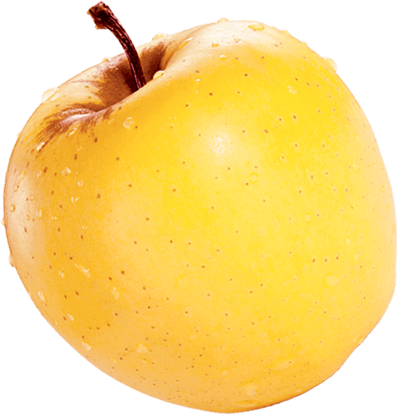Fruit