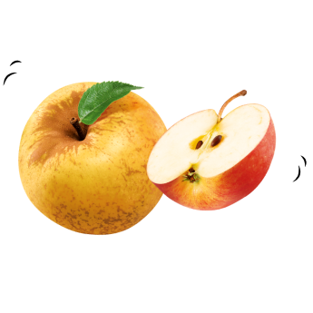 Deux pommes.
